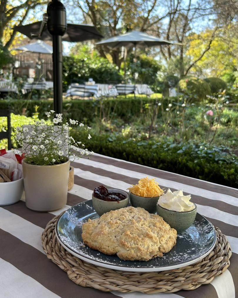 Scone with jam, grated cheese and cream on a plate in the garden at Ana Paula's