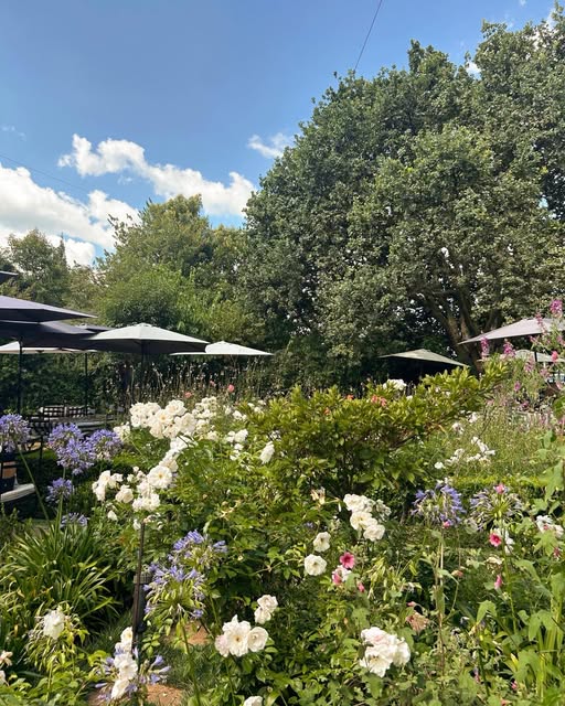 Garden with roses and umbrella-shaded outdoor seating at Ana Paula's